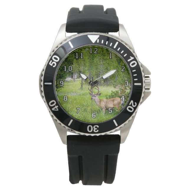 Meadow e eWatchで美しいバック 腕時計 (正面)