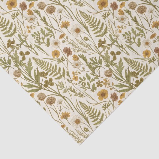 Meadowcore Botanical Illustrations Flowers Grasses 薄葉紙 (詳細)