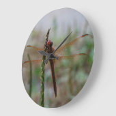 Meadowhawkの基本的なトンボ ラージ壁時計 (傾斜)