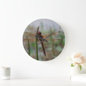 Meadowhawkの基本的なトンボ ラージ壁時計 (ホーム)
