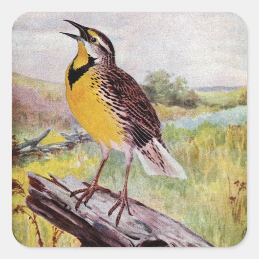 Meadowlark on a Branch スクエアシール (正面)