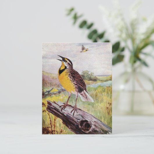 Meadowlark on a Branch ポストカード (スタンド正面)