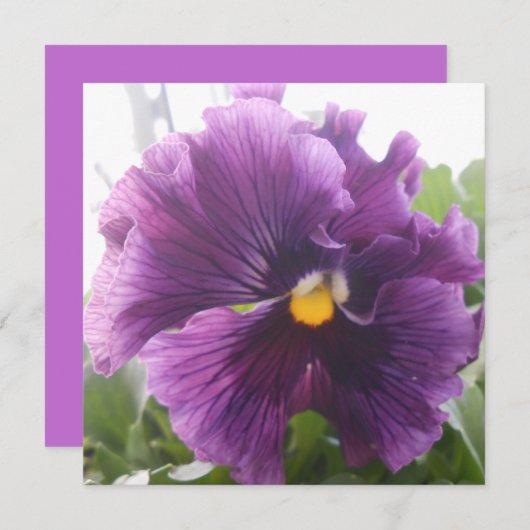 Mechteld ブルー (正面/裏面)