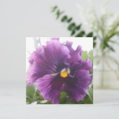 Mechteld ブルー (スタンド正面)