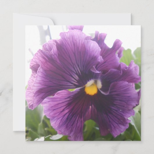 Mechteld ブルー (正面)