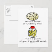 Med Schoolの脳 ポストカード (正面/裏面)