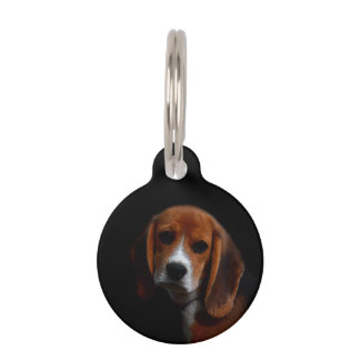 Médaillon pour chien  Beagle ペット　ネームタグ