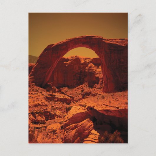 MeddockPhoto_PostCard_Art ポストカード (正面)