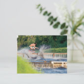 MeddockPhoto_PostCard_WSkate ポストカード (スタンド正面)