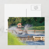 MeddockPhoto_PostCard_WSkate ポストカード (正面/裏面)