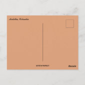 Medellin Colombia ポストカード (裏面)