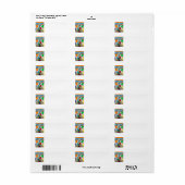 Media, Pennsylvania  ラベル (フルシート)