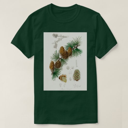 Medical Botany 1836のLinus larixイラストレーション Tシャツ (デザイン正面)