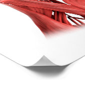 Medical Illustration Of Male Facial Muscles 2 ポスター (角)