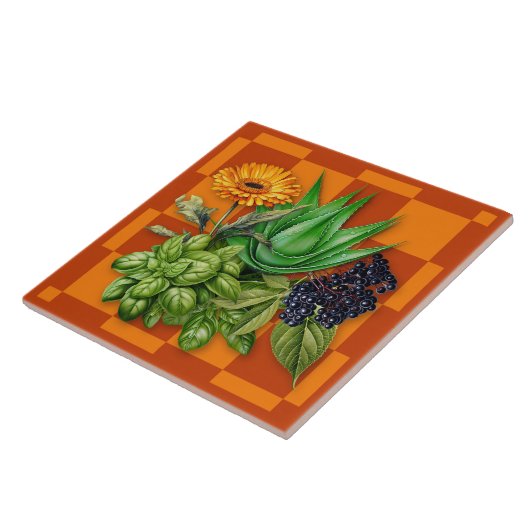 Medicinal Herbs Kitchen Accent Tile タイル (側面)