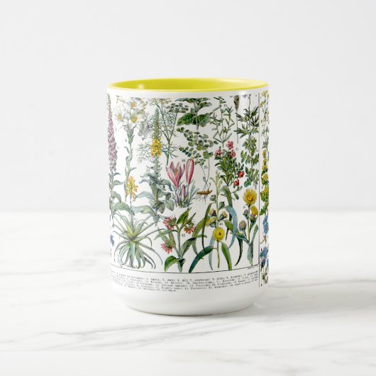 Medicinal Plants & Flowers by Adolphe Millot マグカップ (中央)