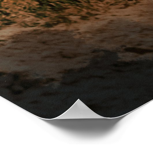 Medicine Man ~ after Edward S. Curtis ポスター (角)