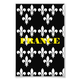 Medieval France Heraldic Print Monochromatic Art フォトプリント