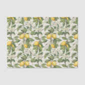  Mediterranean Lemon Botanical Tissue Paper 薄葉紙 (正面)