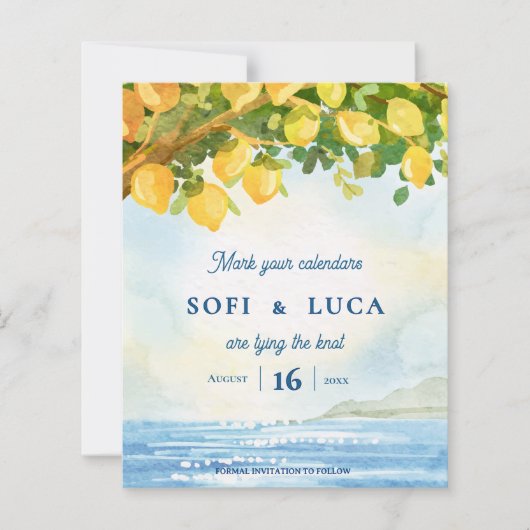 Mediterranean Lemon Grove Coastal Wedding (正面)