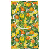  Mediterranean Watercolor Citrus Lemons & Oranges  スモールペーパーバッグ (裏面)