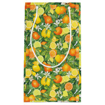 Mediterranean Watercolor Citrus Lemons & Oranges 