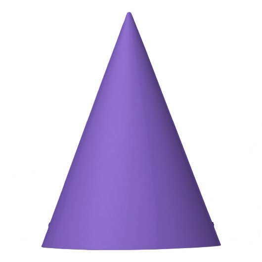 Medium Purple Party Hat パーティーハット (正面)
