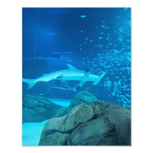 MEDIUM SIZEポスターの写真#Y044 フォトプリント            (正面)