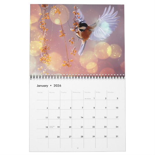 Medium Size Beautiful Birds Calendar カレンダー (1月 2026)