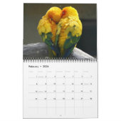 Medium Size Beautiful Birds Calendar カレンダー (2月 2026)