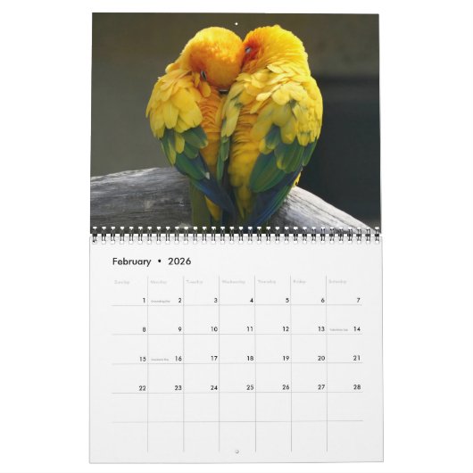 Medium Size Beautiful Birds Calendar カレンダー (2月 2026)