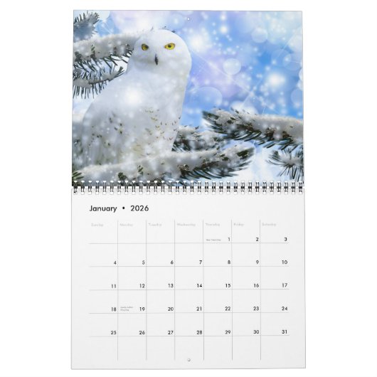 Medium Size Beautiful Birds Calendar カレンダー (1月 2026)