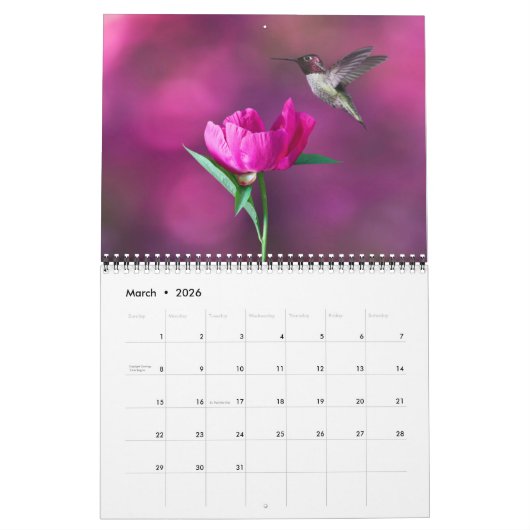 Medium Size Beautiful Birds Calendar カレンダー (3月 2026)