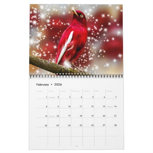 Medium Size Beautiful Birds Calendar カレンダー (2月 2026)