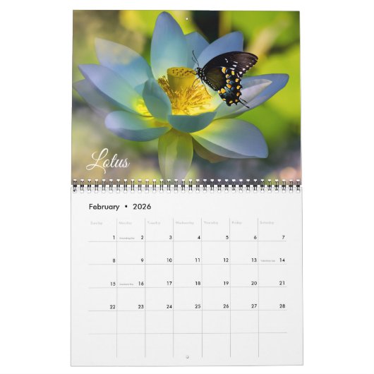 Medium Size Beautiful Flowers Calendar カレンダー (2月 2026)
