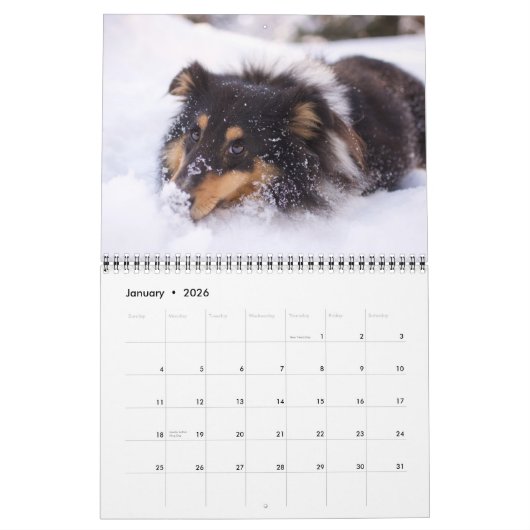 Medium Size Dog Lovers Calendar カレンダー (1月 2026)