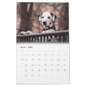Medium Size Dog Lovers Calendar カレンダー (3月 2026)