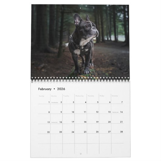 Medium Size Dog Lovers Calendar カレンダー (2月 2026)