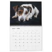 Medium Size Dog Lovers Calendar カレンダー (3月 2026)