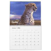 Medium Size Exotic Animals Calendar カレンダー (1月 2026)