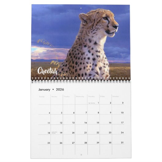 Medium Size Exotic Animals Calendar カレンダー (1月 2026)