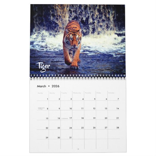 Medium Size Exotic Animals Calendar カレンダー (3月 2026)