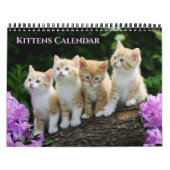 Medium Size Kittens Calendar カレンダー (カバー)