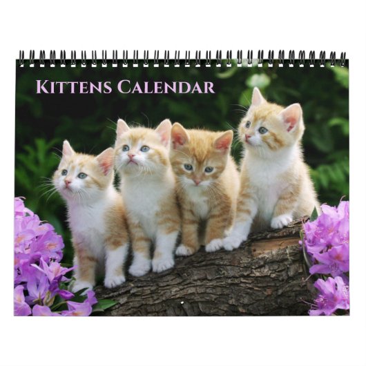 Medium Size Kittens Calendar カレンダー (カバー)