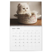 Medium Size Kittens Calendar カレンダー (3月 2026)
