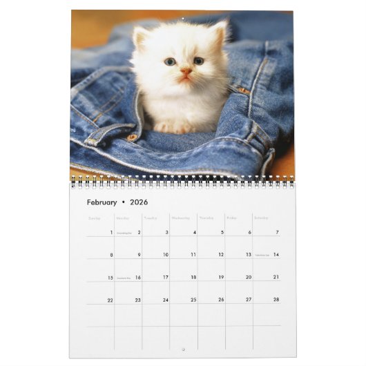 Medium Size Kittens Calendar カレンダー (2月 2026)
