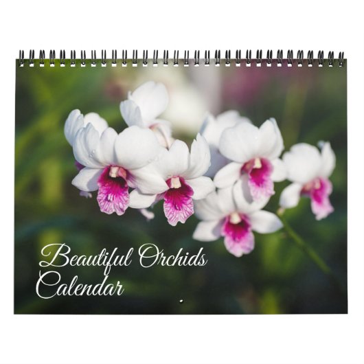 Medium Size Orchids Calendar カレンダー (カバー)