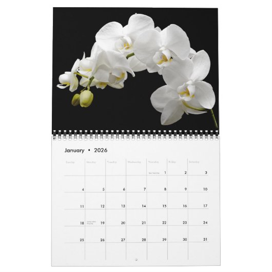 Medium Size Orchids Calendar カレンダー (1月 2026)