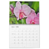 Medium Size Orchids Calendar カレンダー (3月 2026)