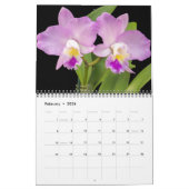 Medium Size Orchids Calendar カレンダー (2月 2026)